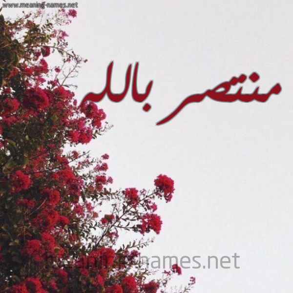 شكل 18 صوره الورد الأحمر للإسم بخط رقعة صورة اسم منتصر بالله Mntsr-Ballah